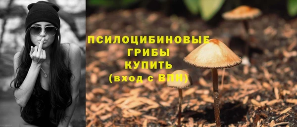 ПСИЛОЦИБИНОВЫЕ ГРИБЫ Аркадак