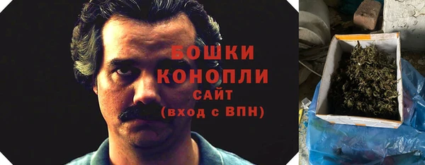 ПСИЛОЦИБИНОВЫЕ ГРИБЫ Аркадак