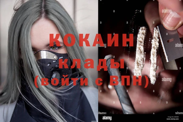 ПСИЛОЦИБИНОВЫЕ ГРИБЫ Аркадак