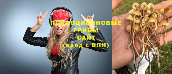 СК Армянск