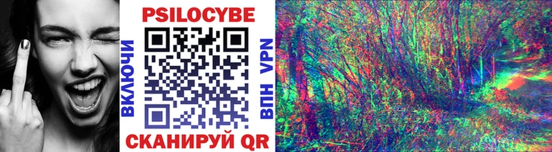 цены наркотик  Чехов  Галлюциногенные грибы Psilocybe 